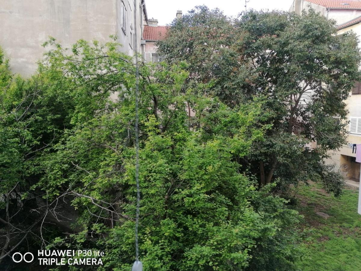 Apartment Linda - Zadar City Center ภายนอก รูปภาพ